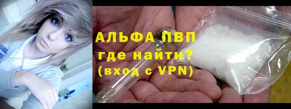 индика Приозерск