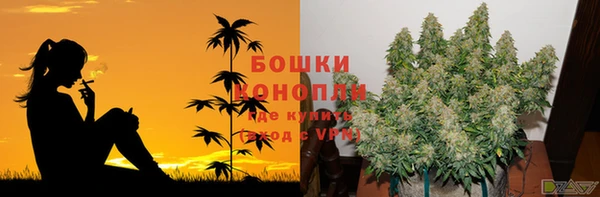 COCAINE Покачи