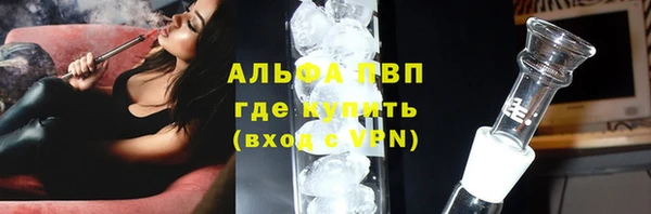 индика Приозерск