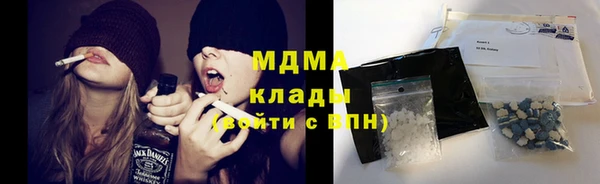 индика Приозерск