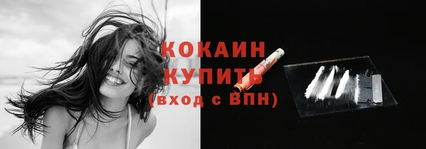 индика Приозерск