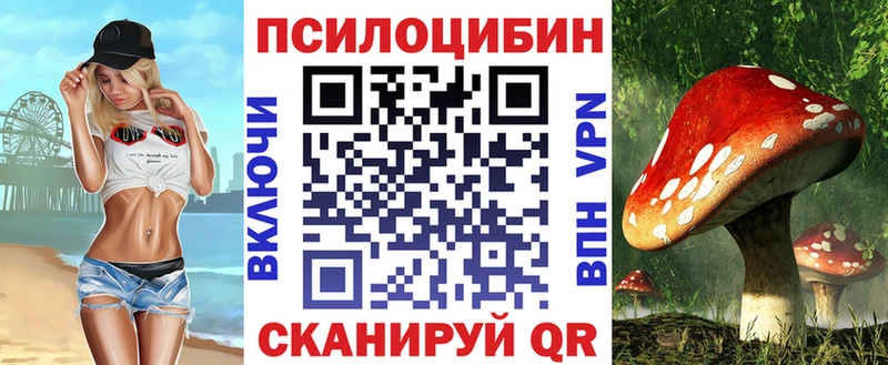 Псилоцибиновые грибы Magic Shrooms  МЕГА зеркало  Бабаево 