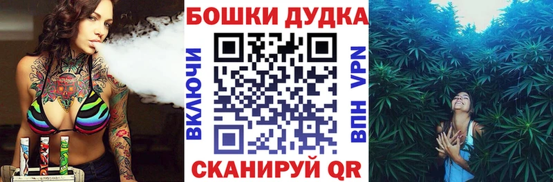 Канабис ГИДРОПОН  мориарти как зайти  Бабаево 